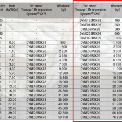 Dyn Rsk99